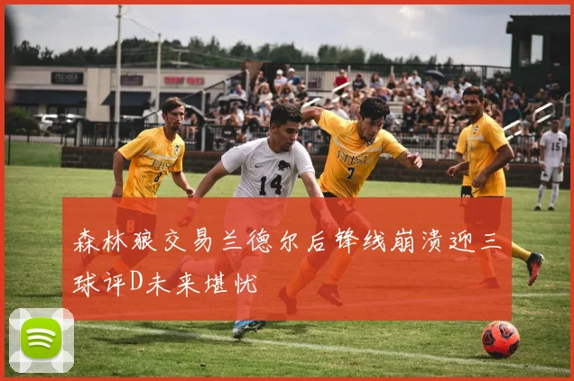 森林狼交易兰德尔后锋线崩溃迎三球评D未来堪忧